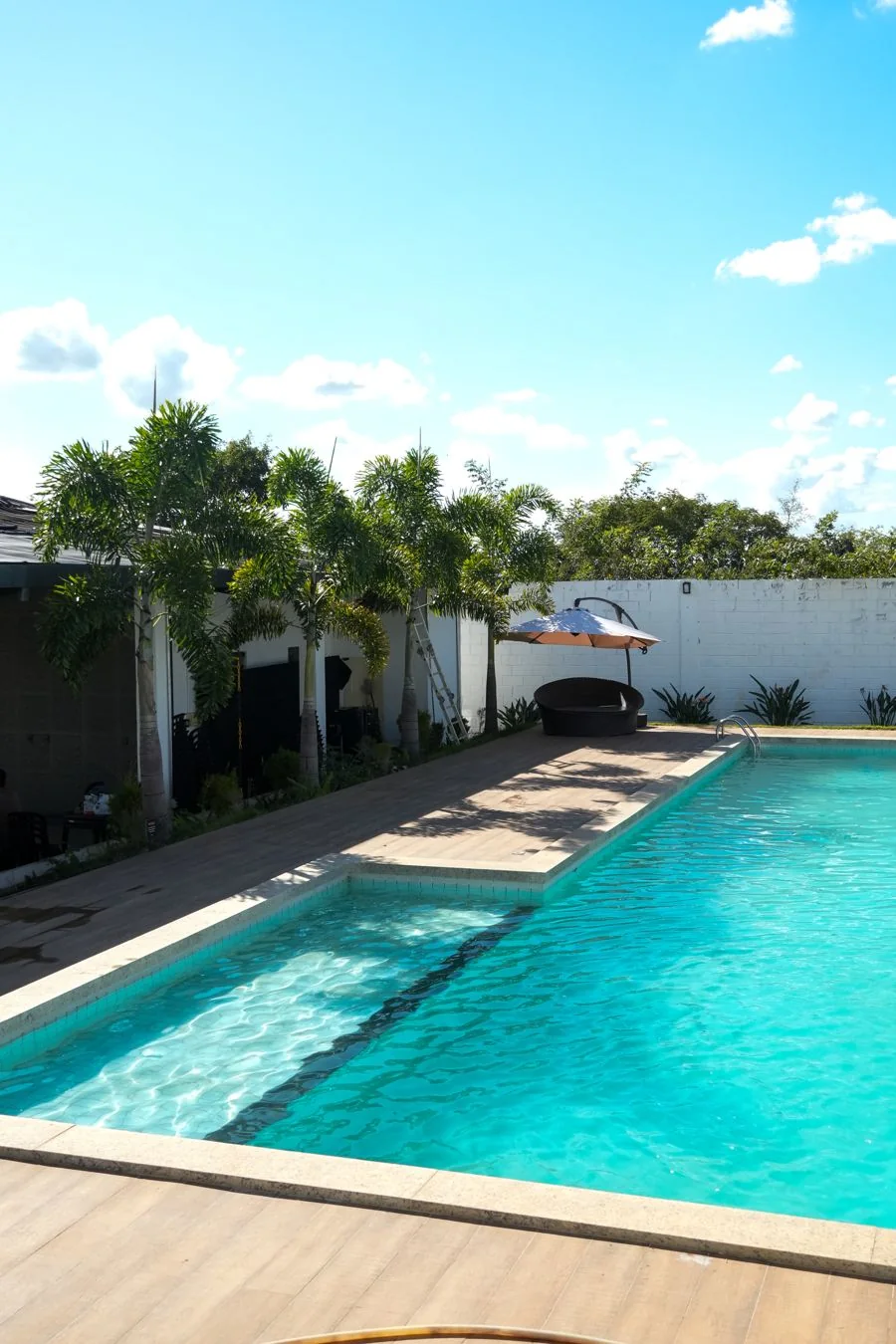 Piscina com palmeiras e ombrelone